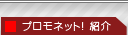 プロモネット！紹介